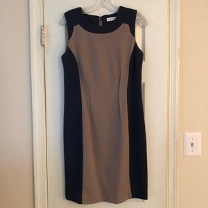 Calvin Klein Colorblock Dress